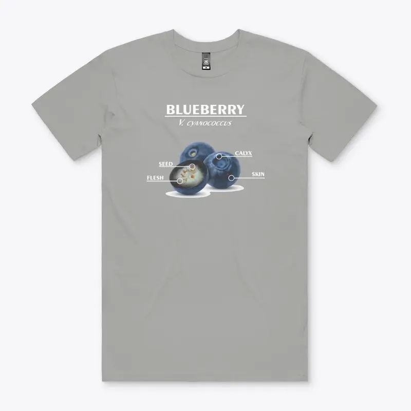 Blueberry Breakdown